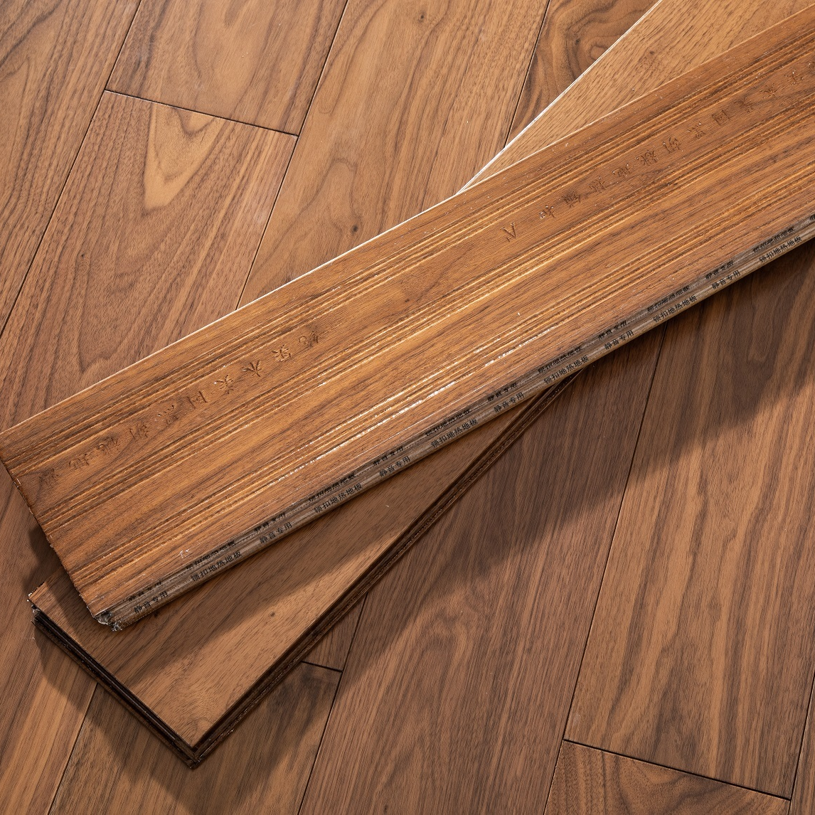 Black Walnut  DR01