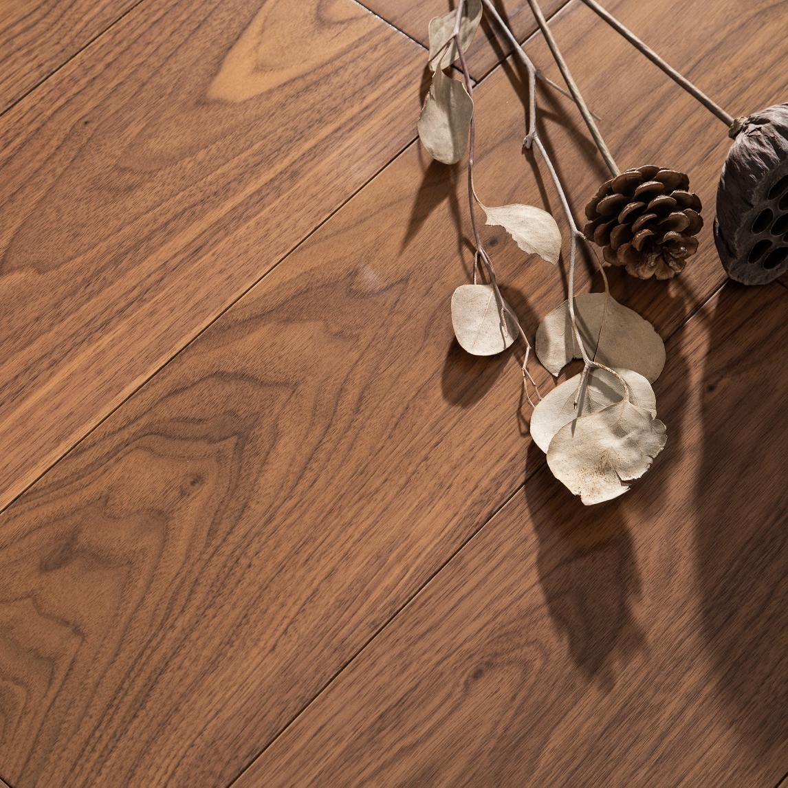 Black Walnut  DR01