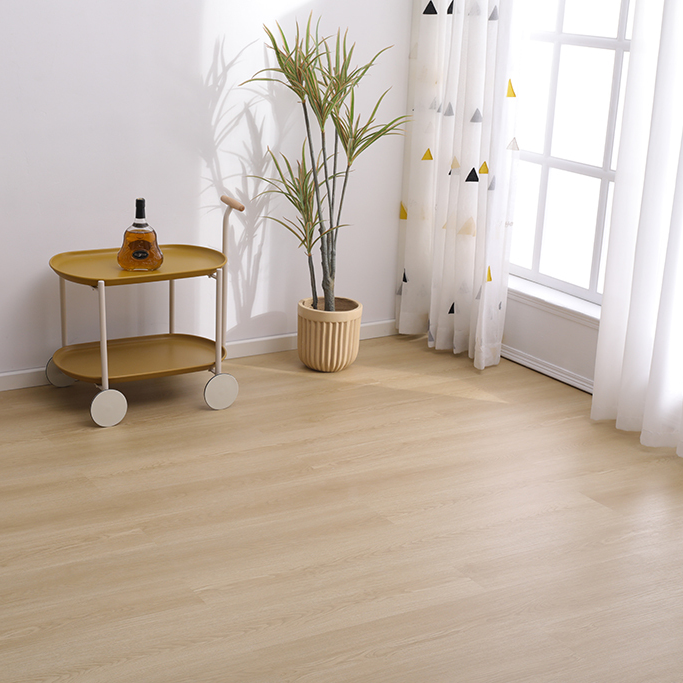 SPC Flooring - 2631