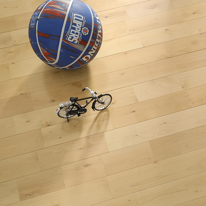 Maple sports flooring